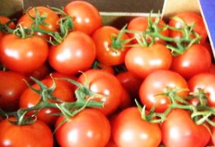 Ramazan'da domates fiyatları düşecek